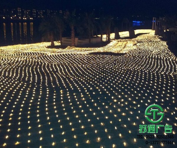 市政樓宇樓體亮化工程施工 市政樓宇樓體亮化LED網(wǎng)燈展示圖蘇通廣告提供